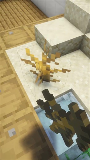 Turtle Finally Has a Real Home! 🥹