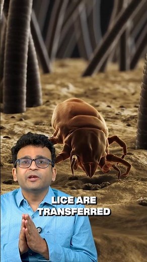 Where does Lice originate from?