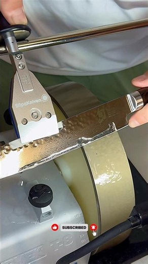 Laser sharp Shun 9 1/2” premier slicer on Tormek T8! #knifesharpening #tormek #asmr #blade #sharp