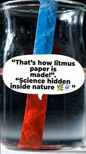 How Litmus Paper Is Made 😱 | Real Science Process Explained