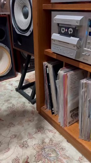 Descubra o Satisfação Musical com Discos de Vinil