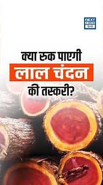 Red Sanders: The Endangered Treasure of Andhra Pradesh