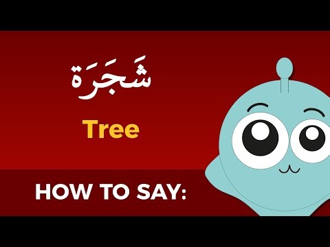 How to say "Tree" in Arabic