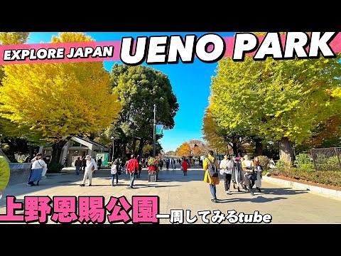 🌿【4K】上野恩賜公園をMAP付きでぐるっとご案内！動物園•美術館•博物館のある都市公園【散歩|上野動物園|上野駅】Guide tour of UENO Park.JAPAN Travel.東京観光
