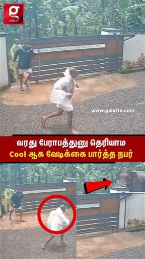 மின்னல் வேகத்தில் வந்த பேராபத்து😠Cool ஆக நின்று வேடிக்கை பார்த்த நபர்😡கடைசியில் நடந்த TWIST