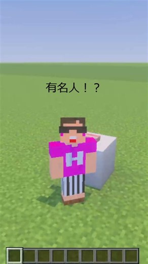 【マイクラ】マイクラでクエスチョンやってみた！パクリあったらすみません #クエスチョン #マイクラ #マインクラフト #minecraft
