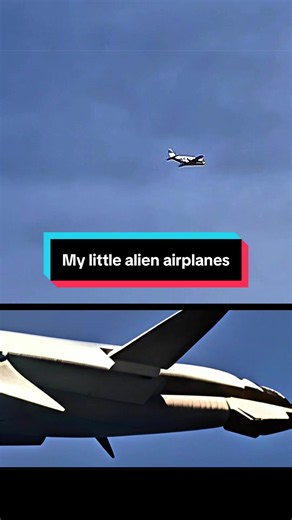 These are holographic yelling, projections of aircraft. I’m going to show you the structure of the UFO and then the projectors, and then the actual projections themselves. We have been doing this for over two years and have over 4 TB of data share with everybody. This is completely real. This is not AI if you film UFOs watch for the birds again watch for the birds look for black vultures. Watch the behavior of insects. They will always fly directly in front of whatever you’re filming. This is no