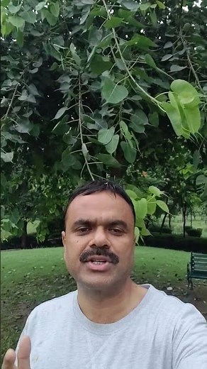 English Novel | Book Recommendation