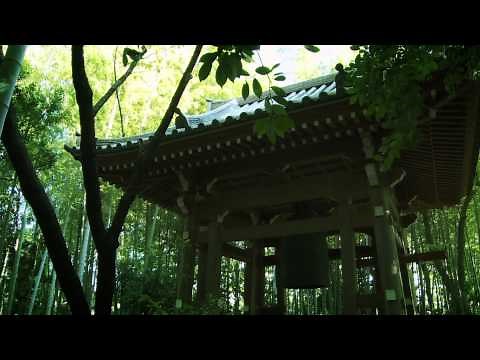 『20分タイマー』枡野俊明「生きるのがラクになる椅子坐禅 今日から始める禅的朝活」