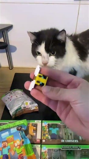 l nous en manque plus que 1 seul !! | #shorts #viral #minecraft