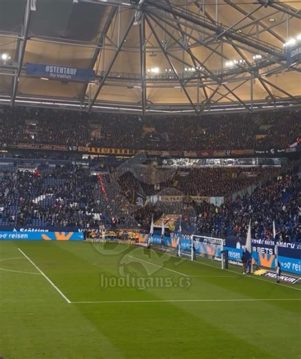 07.02.2026🇩🇪FC Schalke 04 - SG Dynamo Dresden, Dynamo Dresden performance today in match against Schalke 04, click here for more: https://hooligans.cz/2026/02/07/fc-schalke-04-sg-dynamo-dresden-07-02-2026/ All in one place. Tap to download. 🔗 hooligans.cz/app | Hooligans.cz