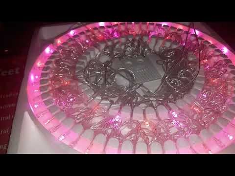 LED Musical Christmas lights