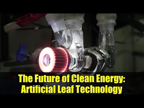 The Future of Clean Energy: Artificial Leaf Technology