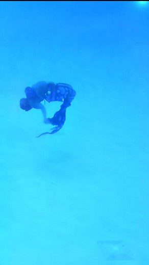 Just Swimming #joyful #mermaid #fyp #blackmermaid #fatmermaidsmakewaves #underwater #plussize #thicktok #over30