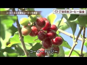動画で見る「コーヒーができるまで」（１）コーヒー豆と主要なコーヒー生産国 ── 全日本コーヒー協会