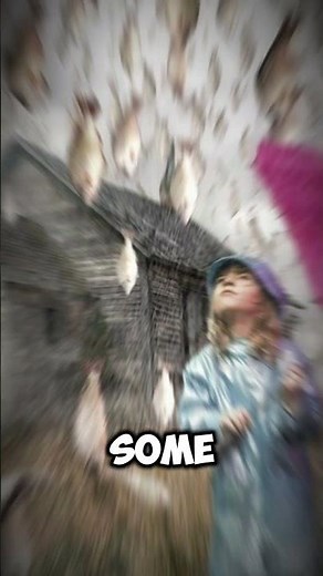 Unbelievable! Raining Fish in Honduras: The Lluvia de Peces Phenomenon