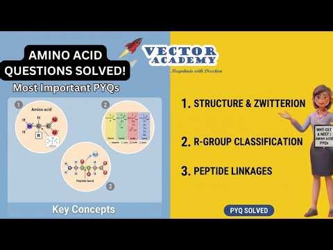 Amino Acid Questions SOLVED! | Most Important PYQs | MHT-CET & NEET | Vector Academy