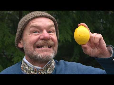 Scurvy! - The Hunt For A Cure - In The Nutmeg Tavern