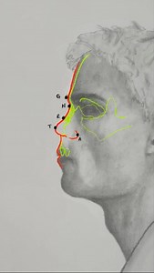 226K views · 8.1K reactions | Explaining the 5 nose landmarks used to draw different kinds of noses: The Greek Nose, The Aquiline Nose, The Hawk Nose, The Pixie Nose, and the Snub Nose. | Mark Liam Smith | Facebook