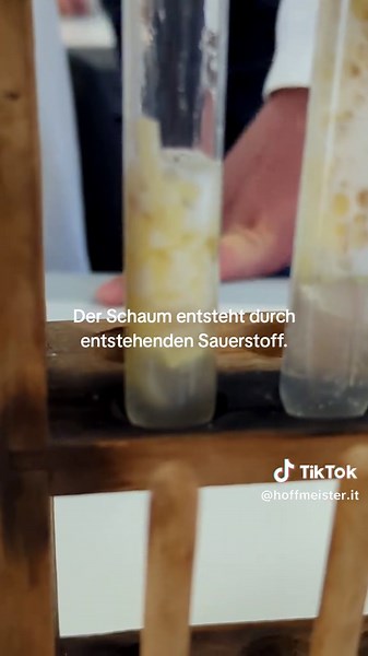 Experimente in Klasse 11: die komplette Biochemie von Lebewesen läuft über Enzyme. Dieses den Schülerinnen und Schülern zu demonstrieren ist mit kleingeschnittenen Kartoffeln ganz einfach. Alle Zellen bilden gelegentlich selbst das Zellgift Wasserstoffperoxid (H2O2) als Abfallprodukt. Damit die Zelle nicht Schaden nimmt, hat sie das Enzym Katalase gespeichert. Dieses Enzym baut Wasserstoffperoxid sofort zu Wasser und Sauerstoff ab: 2H2O2 --> 2 H2O O2 Den Sauerstoff sieht man an der Schaumbildung