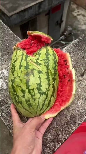 Experiment: Will a watermelon explode if it rolls down from a tall building? 🍉💥