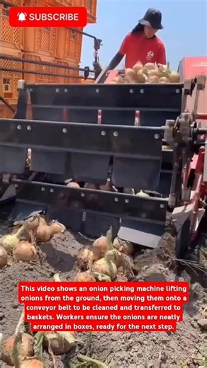 modern onion harvesting machine#viralvideo #agriculture #shorts