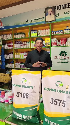 Embracing Agriculture Life in Pakistan