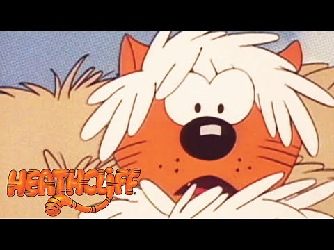 Wild Cat | Heathcliff - WildBrain | Full Episodes for Kids