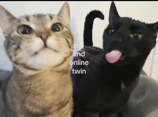 Online Friends Twin Connection