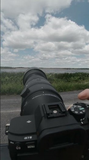 Sigma 150-600 Test on Osprey