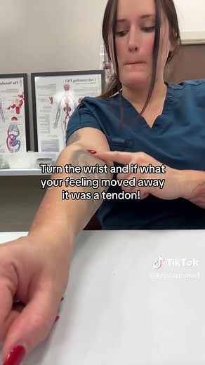 Essential Phlebotomy Tip: Identifying Veins Correctly