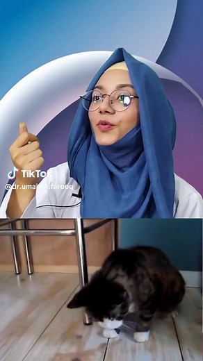 How to Treat/prevent the issue of Hairball in Cats? #Cats #health #Hairballs #vomits #share #tiktok #follow