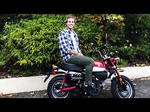 Honda Monkey 2019 Review and How to Ride!