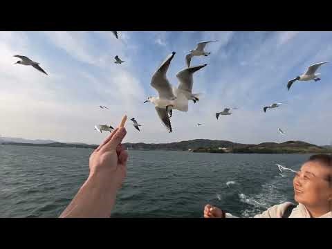 ★145【3日目】4泊5日関東〜大阪ツアー【山梨のホテル→富士山4合目→舘山寺浜名湖遊覧船→舘山寺散策→舘山寺のホテル】