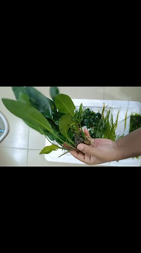 Delivery update | Dr. Aqua