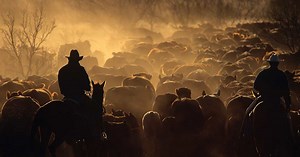 9 Things You May Not Know About Texas | HISTORY