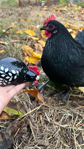 Glazy Hen Ceramics | Sarah Mahl on Instagram: "I could have gone the easier route with a digital drawing of a hen, but making one out of clay was more fun! Here’s the story behind the ceramic hen in my logo, and the reason I chose Glazy Hen Ceramics as my small business name. I plan to open my online shop in January - if you want to get an email notification when that happens, sign up for my mailing list (link in bio). Or just follow and I’ll announce it here as well ❤️ #ceramics #handbuiltpotte