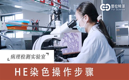 HE染色的操作步骤，简单好学