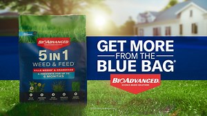 57 reactions · 9 comments | If crabgrass and dandelions have popped up in your lawn, kill them both with one application of BioAdvanced 5-In-1 Weed & Feed. You don’t need two different products, one Blue Bag does it all. Click to find a retailer: https://bioadvanced.com/5-in-1-weed-and-feed.html | BioAdvanced Science-Based Solutions | Facebook