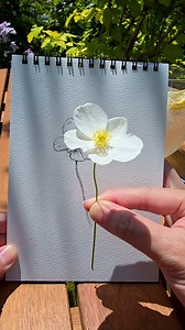 Real flower or my drawing ✨ | Aska Hall