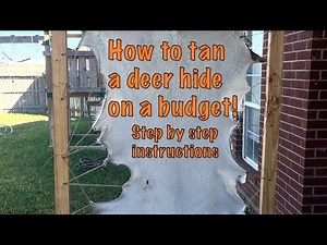 How to tan a deer hide on a budget (easy way step by step)