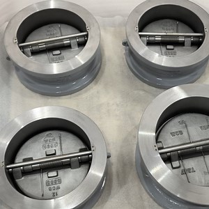 API 594 A216 Wcb 12 in 300lb Dual Plate Check Valve