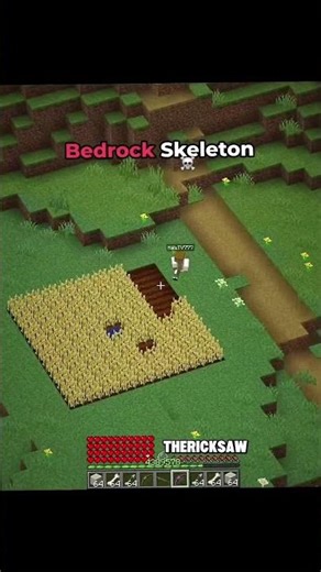 Minecraft Java skeleton VS Bedrock skeleton 💀😂 #minecraft