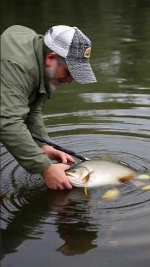 Fish Feeding Farming Guide | Simple Methods for Better Growth