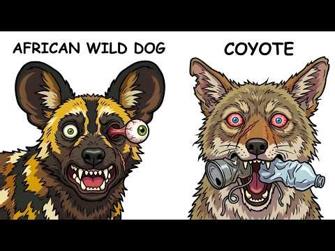 Every WILD DOG Explained in 8 Minutes