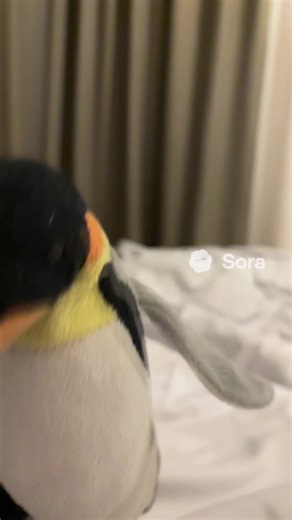 🐧Pingo🐧 (@lukaxdgg2014)’s videos with original sound - Uknown guy Samsung