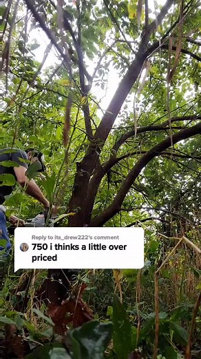 Mastering the Art of Archery: A Guide to Recurve Bows