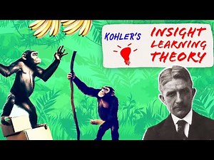 KOHLER INSIGHT THEORY