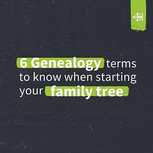 1.6K views · 36 reactions | To grow your family tree, first you need to grow your vocabulary. Getting a good grasp on your basic genealogy terminology is key for any novice genealogist just starting out on their family history journey. Take a look at these six terms to help take your research to the next level. | Ancestry | Facebook