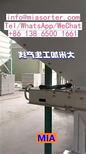 AI Powered OEM Production Line Color Sorting Machine Manufacturer Reliable Supplier Advanced Technol